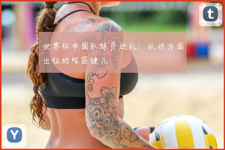 世界杯中国队球员巡礼:认识为国出征的绿茵健儿