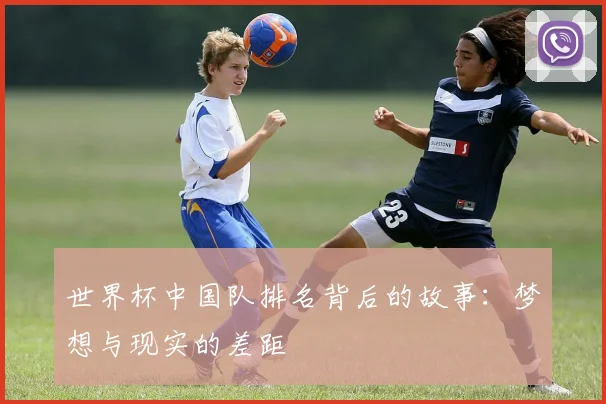 世界杯中国队排名背后的故事:梦想与现实的差距