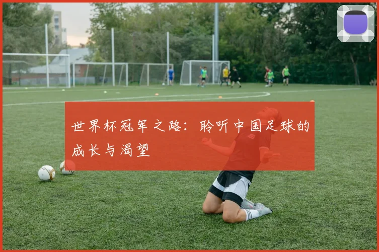 世界杯冠军之路：聆听中国足球的成长与渴望