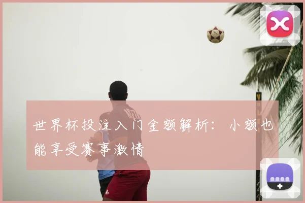 世界杯投注入门金额解析：小额也能享受赛事激情