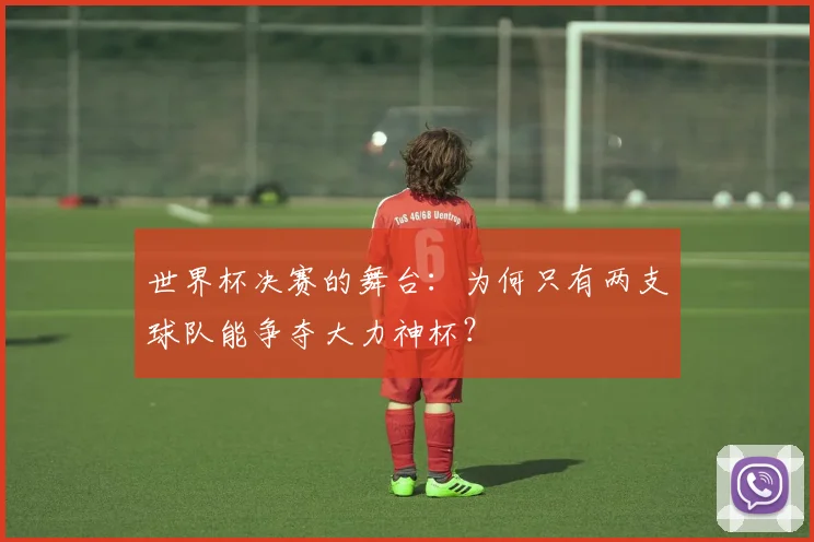 世界杯决赛的舞台:为何只有两支球队能争夺大力神杯?
