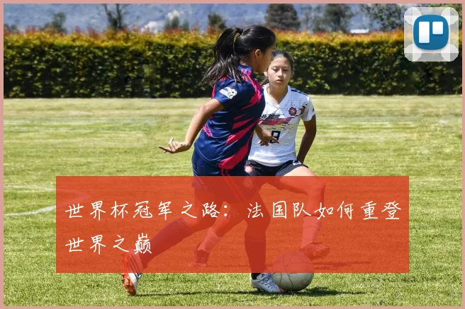 世界杯冠军之路:法国队如何重登世界之巅