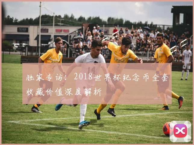 独家专访：2018世界杯纪念币全套收藏价值深度解析