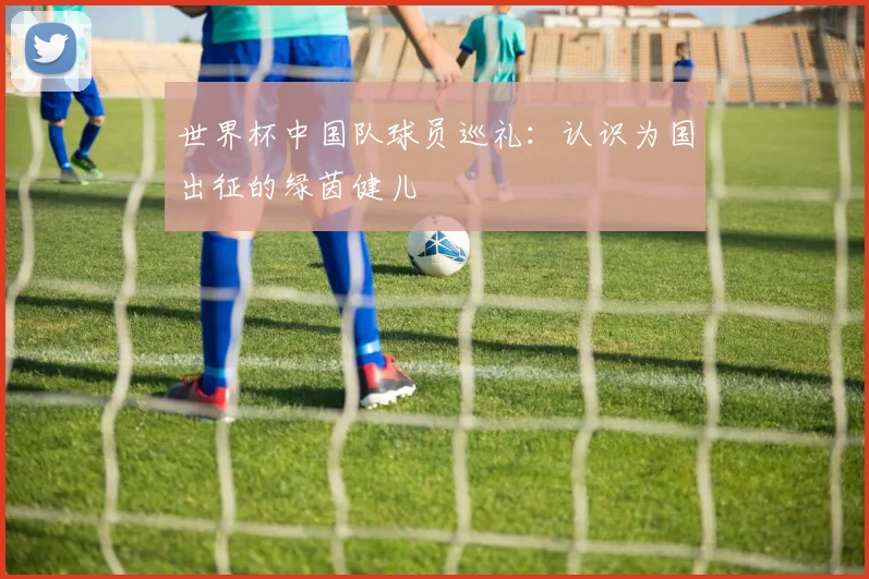 世界杯中国队球员巡礼：认识为国出征的绿茵健儿