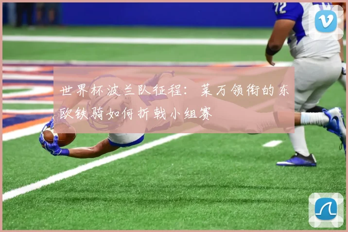 世界杯波兰队征程:莱万领衔的东欧铁骑如何折戟小组赛