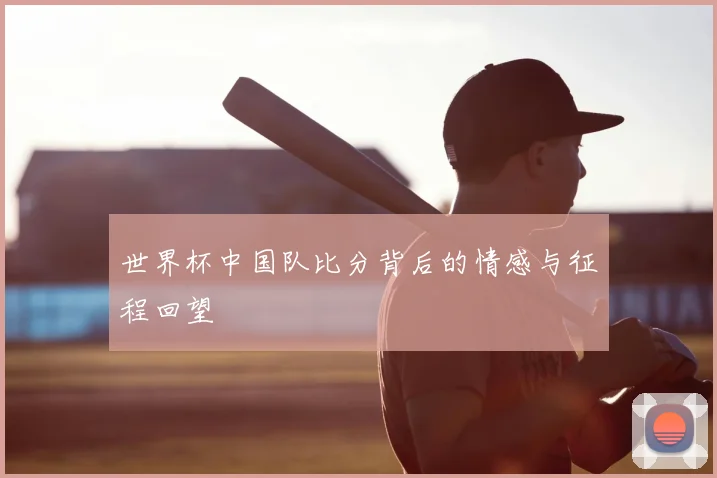 世界杯中国队比分背后的情感与征程回望